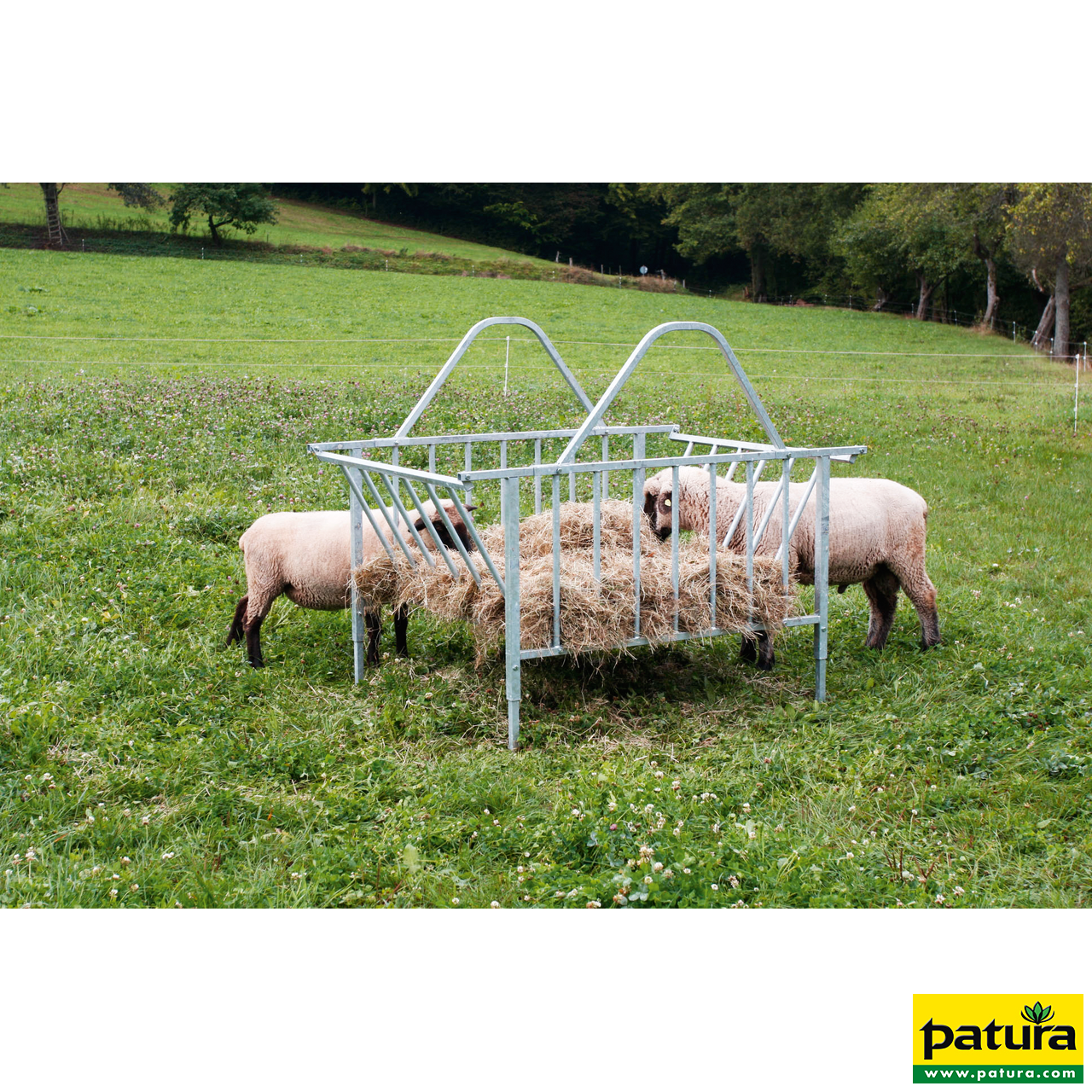 Vierkante ruif standaard, Voor schapen