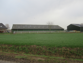 Hekwerk voor uitloop rundvee en kalveren