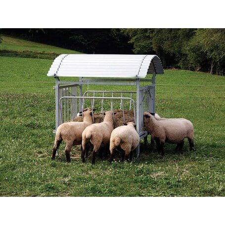 vierkante ruif voor schapen, Met dak