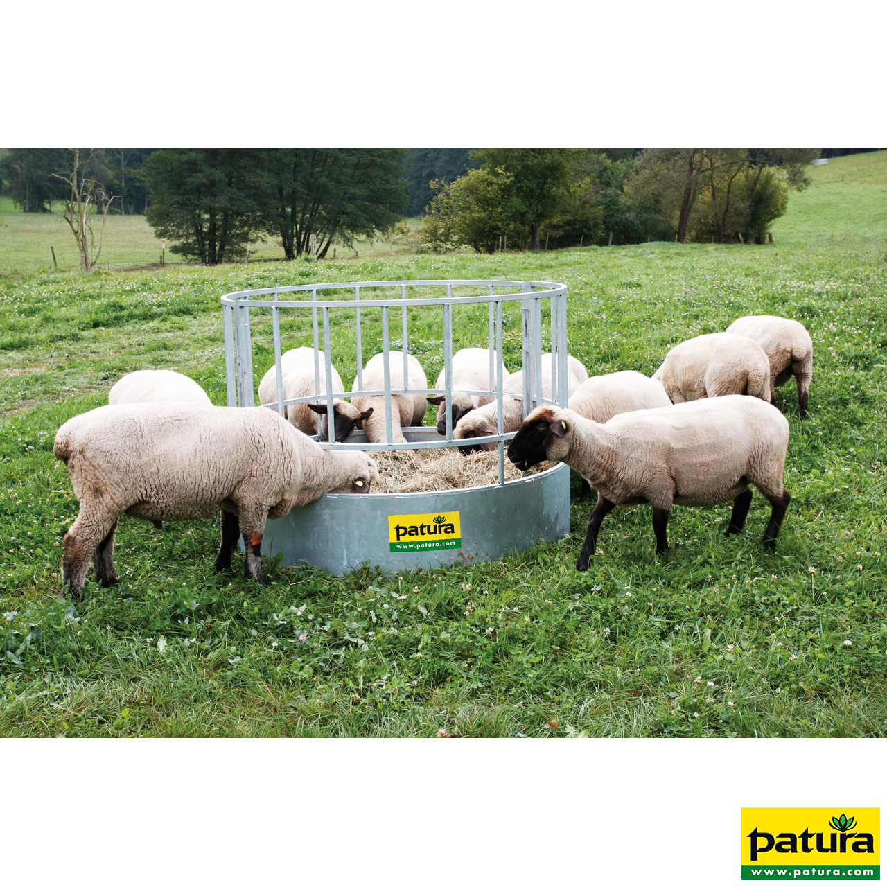 Ronder ruif, 20 Voerplaatsen