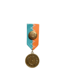 Medaille kruikenstad