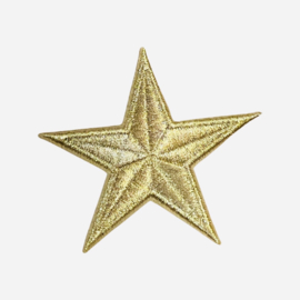 Ster Goud 2 cm