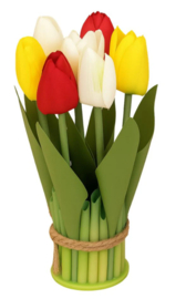 Bosje tulpen staand