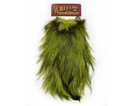 Coq de Leon Silver Saddle Badger - fluo green chartr.