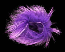 Finn Raccoon Zonker - purple