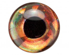 Fish eyes - roach holographic 10mm