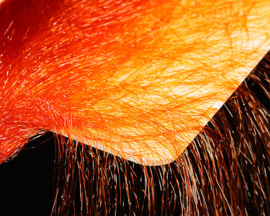 Fine Hair - burnt orange