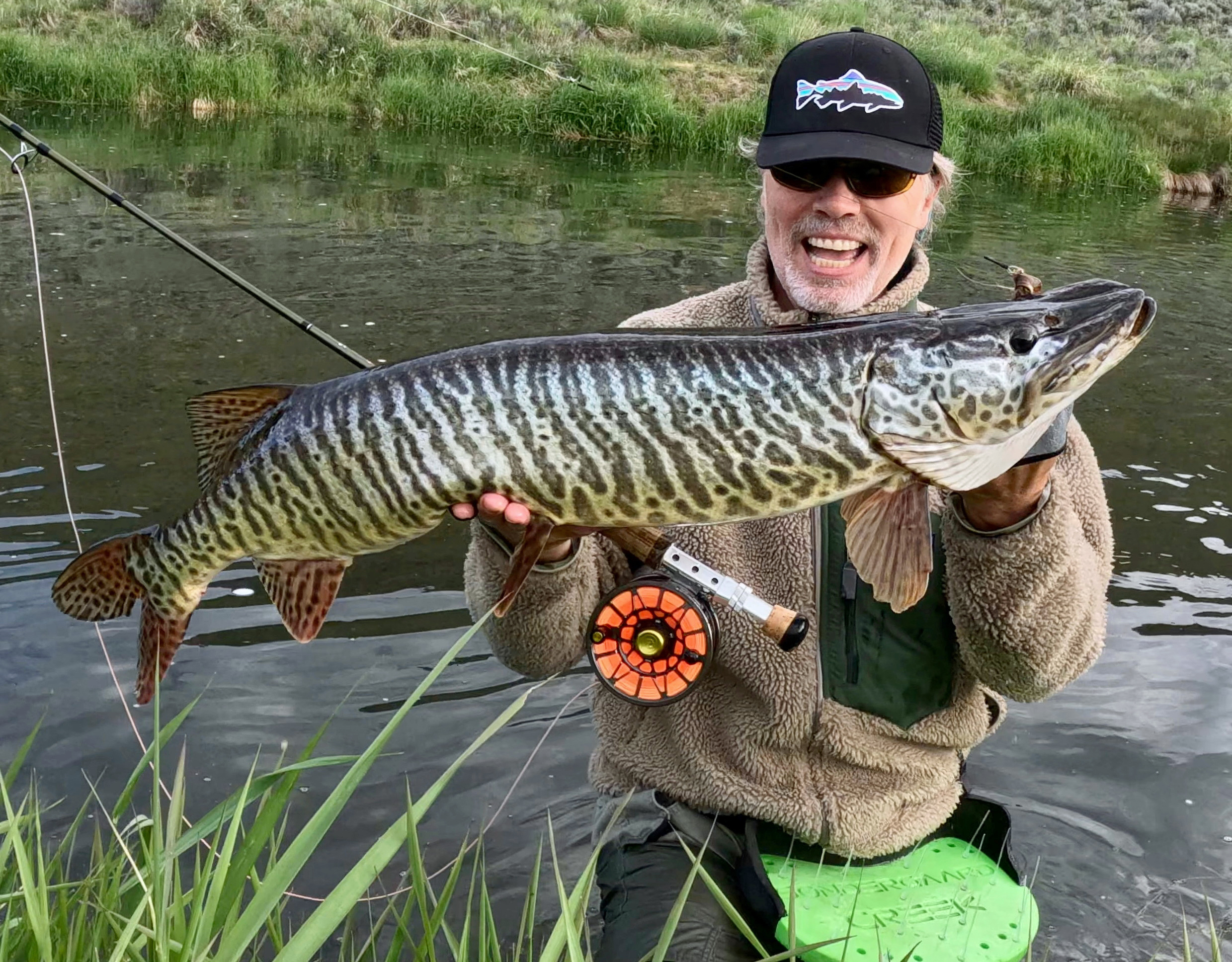 Tiger Muskie - June 22 to July 2, 2025