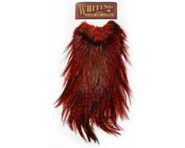 Coq de Leon Bronze Saddle Badger - red