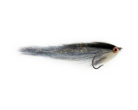 BT Rügen - Roach WB