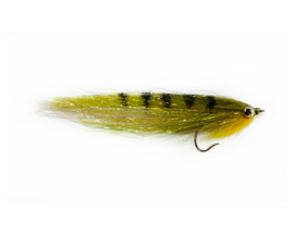 BT Rügen - Perch WS