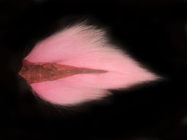 Bucktail medium - pink