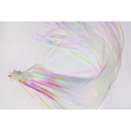 Lateral Scale - pearl