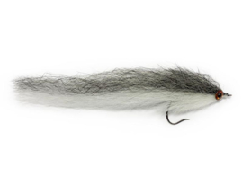 BT Roach