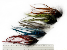 Whiting Schlappen & bucktail streamers - set of 5