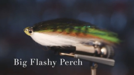 Big flashy perch
