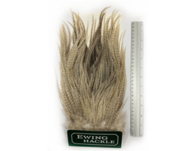 Ewing Saddle - barred white
