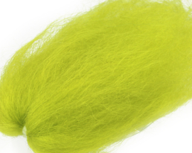 Lincoln sheep - chartreuse