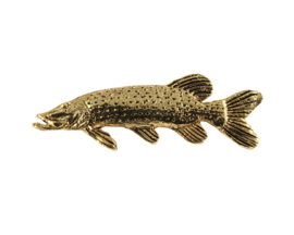 Pike - gold