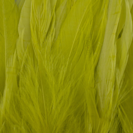 Schlappen - golden olive