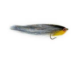 BT Rügen - Roach OB