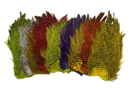 Feathers
