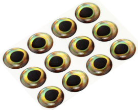 Fish eyes - perch 15mm