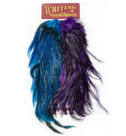 CDL Predator Pack Grizzly Pardo - purple & KF blue