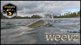 WEEVZ - fly fishing destinations