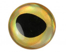 Fish eyes - rainbow gold 5mm