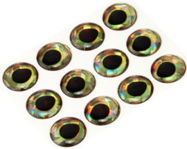 Fish eyes - perch holographic 15mm