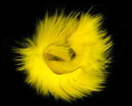 Finn Raccoon Zonker - fluo yellow