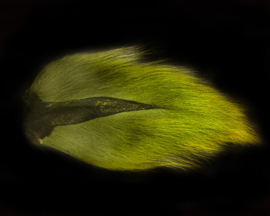 Bucktail medium - light olive