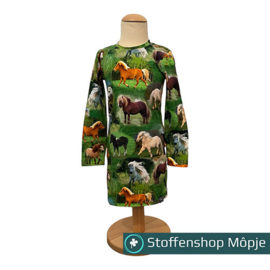 Paardenjurkje