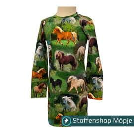 Paardenjurkje
