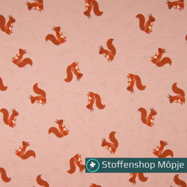 Jersey Eekhoorn Dusty Pink