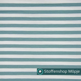 Jersey Stripe Dusty Mint 1 cm