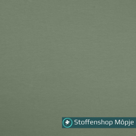 Jersey Dusty Mint 210