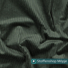 Corduroy Washed 6W Stretch