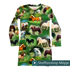 Paardenjurkje
