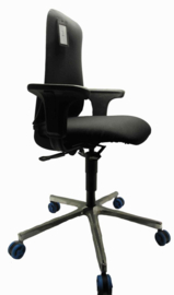 Hoganas Plus 361
