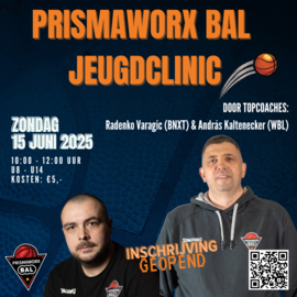 BAL clinic met Topcoaches/Spelers van BAL