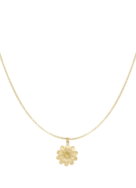 Ketting  | blossom bliss  | goud