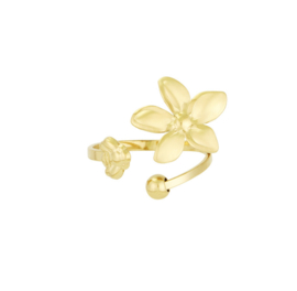 Ring  | floral delight | goud