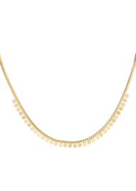 Ketting  | muntjes | goud
