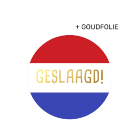 Sticker geslaagd! - rood wit blauw goud - 4 cm - 6 stuks