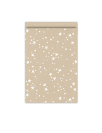 Cadeauzakje kraft sterren- 17x25cm - 5 Stuks