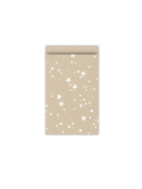 Kraft cadeauzakjes witte sterren - 12x19 cm - 5 stuks
