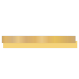 Lint - Goud glossy – 10mm – 5m
