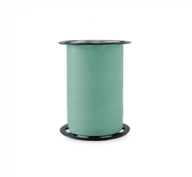 Sierlint  misty groen – 10mm – 5m